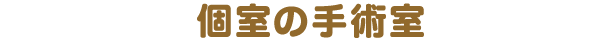 個室の手術室